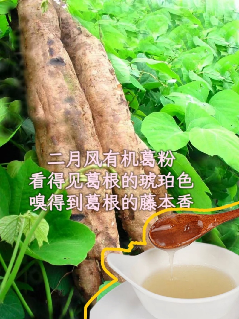 二月風有機葛粉，看得見葛根的琥珀色，嗅得到葛根的藤本香_800.jpg