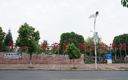 當(dāng)定制葛粉時(shí)，我們真正在選擇什么？