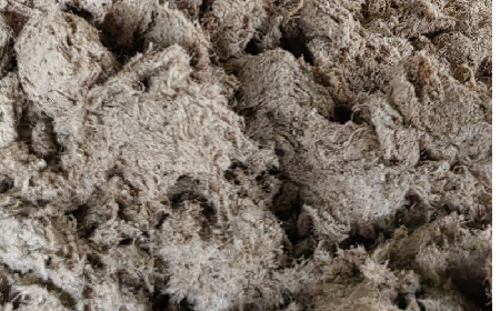 深入大洪山，只為一口純凈 -二月風今冬野生葛根收購紀實